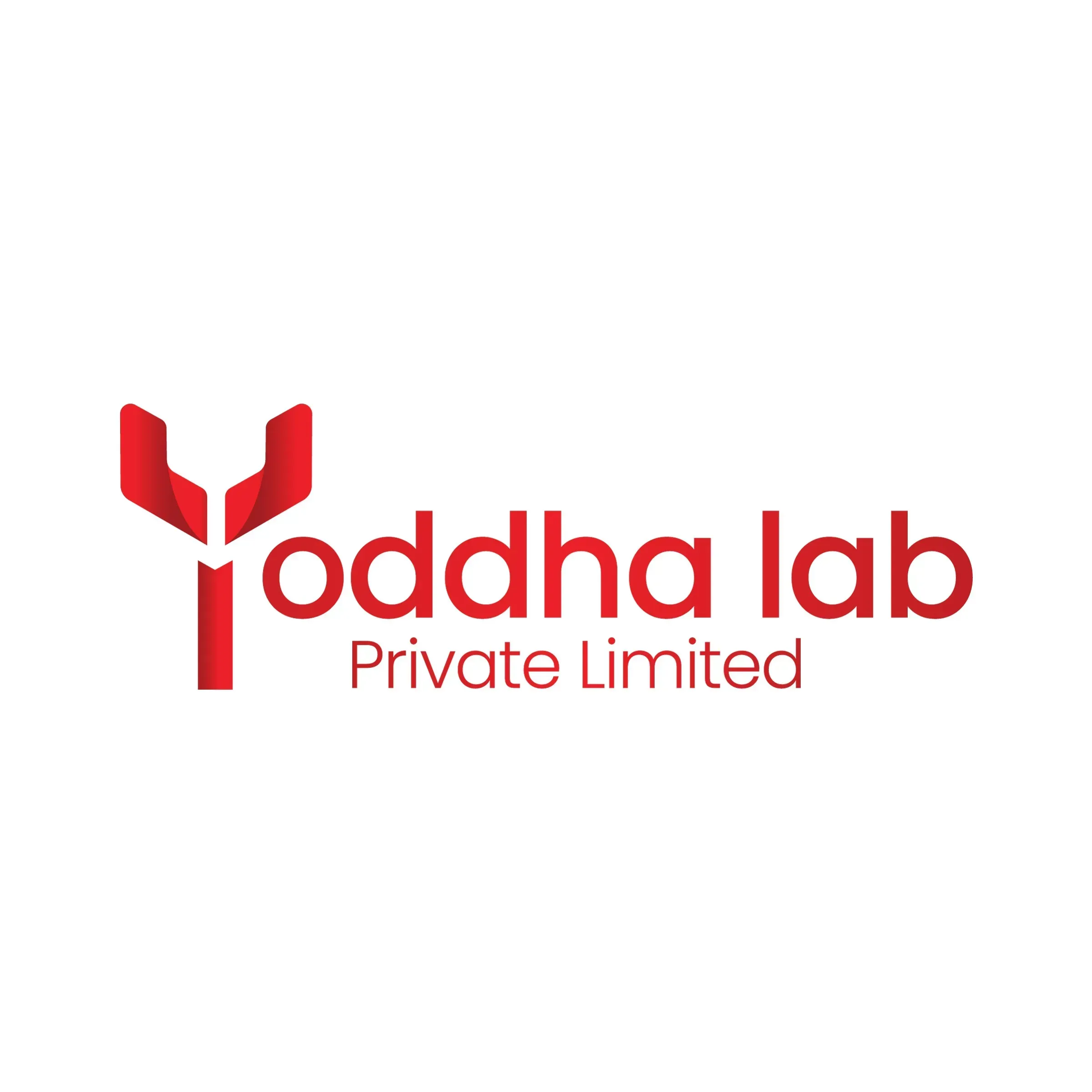 Frontend Developer